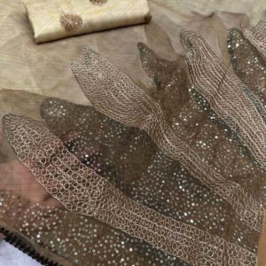 Elegant Gold-Beige Tissue Silk Saree with Sequin & Threadwork Border + Designer Blouse (Festive Collection)
